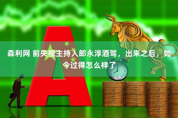 森利网 前央视主持人郎永淳酒驾，出来之后，如今过得怎么样了