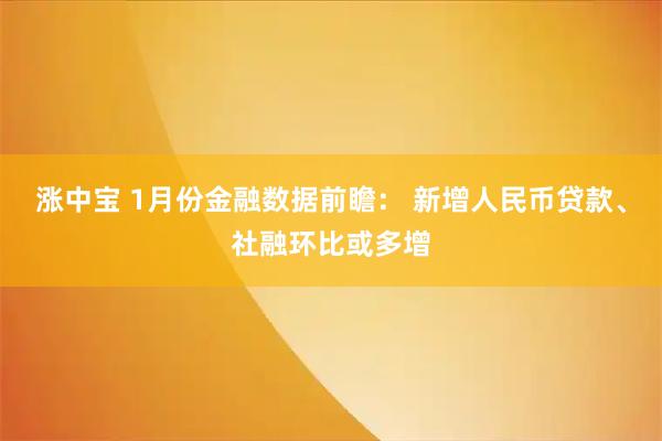 涨中宝 1月份金融数据前瞻： 新增人民币贷款、社融环比或多增